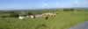 Typical Irish countryside, Co. Cavan (38,215 bytes)