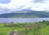 Loch Sunart (29,647 bytes)