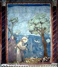 Francis preaching to the birds, by giotto
